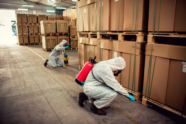 Best Commercial Pest Control Services  in Dock Junction, GA