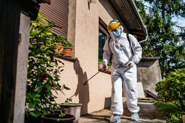 Best Best Pest Control Companies  in Dock Junction, GA