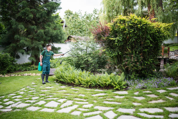 Best Pest Control for Homes  in Dock Junction, GA