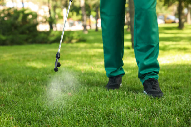 Best Pest Control Near Me in Dock Junction, GA