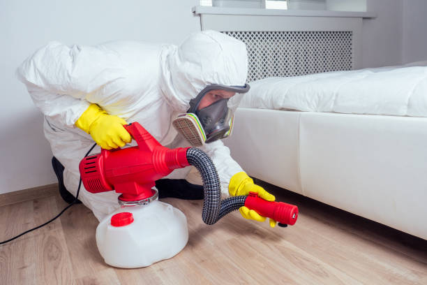 Best Exterminator Services  in Dock Junction, GA