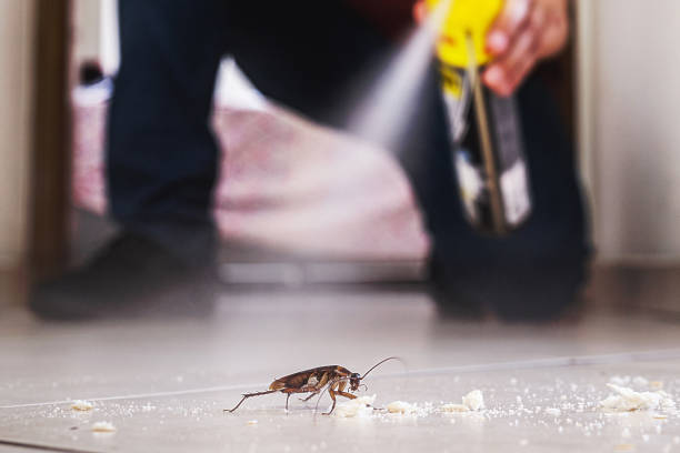 Best Cockroach Control Services  in Dock Junction, GA