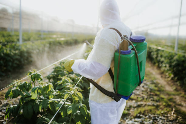 Professional Pest Control in Dock Junction, GA